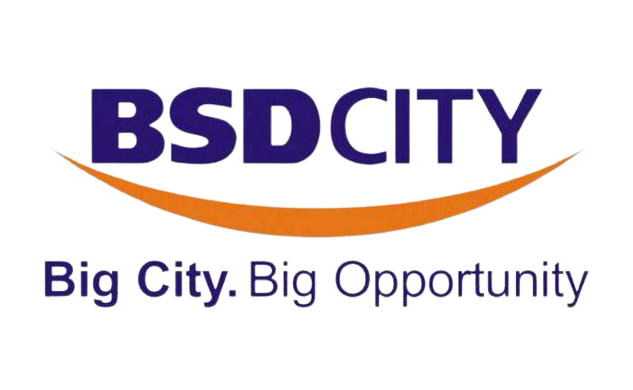 BSD City